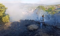 Alamut’ta Arazi Yangını Korkuttu: Alevler Yerleşim Yerlerine Yaklaşmadan Söndürüldü