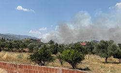 Nazilli’de orman yangını başladı: Bölgeye helikopter sevk edildi