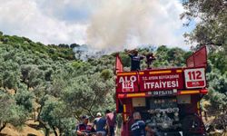 Yenipazar'da orman yangını: Evlere sıçramadan söndürüldü