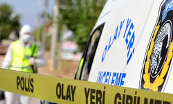 Kötü koku ihbarı ortaya çıkardı: Ağaca asılı halde bulundu!