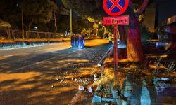 Otomobil çiçekliğe çarpıp yan yattı: Nazilli’de korkutan kaza