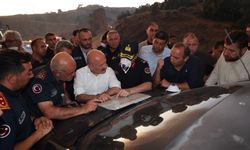 Vali Varol, yangın bölgesinde incelemelerde bulundu
