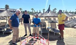 5 yıl sonra aynı plaja dönen caretta Didim’de yeniden yuva yaptı