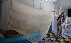 Sevginin en büyük nöbeti :Felçli eşi rahat etsin diye sinek kovuyor