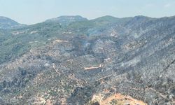 Yeşilden siyaha bürünen alan böyle görüntülendi