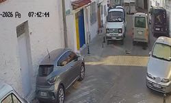 İki sokak kedisini ezdi, arkasına bile bakmadan uzaklaştı