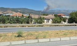 Çine’de orman yangını