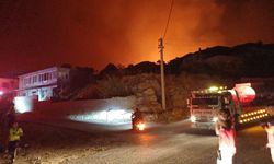 Aydın'da gecenin karanlığını alevler aydınlattı