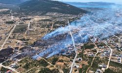 Alevler, Yeşiltepeyi küle çevirdi; Didim yangını havadan görüntülendi