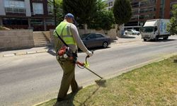 Aydın Büyükşehir’den Çeştepe’de park ve yeşil alanlara bakım