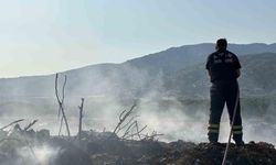 Aydın Büyükşehir İtfaiyesi 8 günde 445 yangına müdahale etti