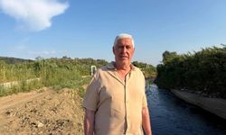 Aydın’da incirin baş belasına, doğal çözüm!