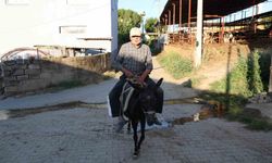 Ayhan Amca ehliyetsiz ama yolda