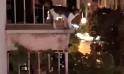 Balkonda mahsur kalan kedi kurtarıldı