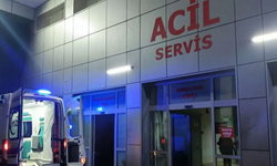 3,5 aylık hamileydi: Canına kıymak istedi