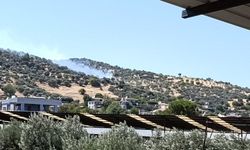 Bozdoğan’daki zirai alan yangını kontrol altına alındı