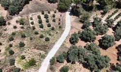 Bozdoğan Güvenir’de yol çalışması tamamlandı