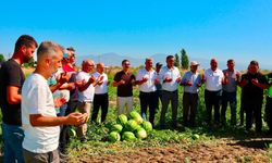 Cincin Karpuzu’nda hasat dualarla başladı