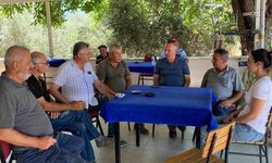 Didim’de pamuk tarlalarında zararlı denetimi