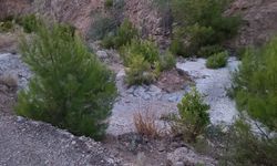 Doğaya beton atık skandalı: Vatandaşların kamerasına yansıdı