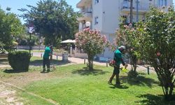Efeler’de parklar ve yeşil alanlar bakımdan geçiriliyor
