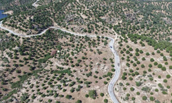 Aydın'da 15 yıllık emek meyvesini verdi