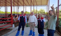 Esat Ergüler çiftliğinin kapılarını açtı: Ari işletmesi Müdür Temiz’den tam not aldı
