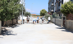 Didim Belediyesi'nden Efeler Mahallesinde ulaşım çalışması
