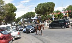 Karacasu'nun en küçük çömlekçisi sünnet oldu