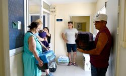 Kuşadası'nda can dostlarına sıcak yuva: Sahiplenme seferberliği büyüyor
