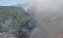 Kuyucak’ta orman yangını