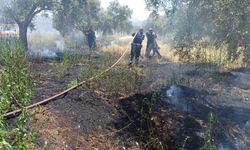 Aydın'da ot biçerken facia yaratıyordu