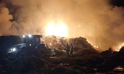 Aydın'da emekler kül oldu