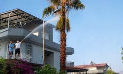 Aydın'da korkutan zeytinlik yangını