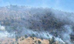Sultanhisar’daki yangında son durum