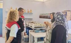 Topraktan doğan başarı! : Nazilli'nin kadınları üreterek kazanıyor