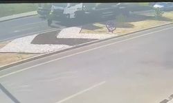Aydın'daki feci kazanın görüntülüleri ortaya çıktı