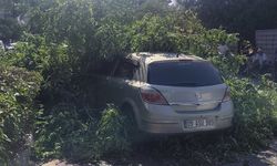 Aydın’da ağaç gövdesinden koptu, otomobilin üzerine devrildi
