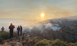 Bozdoğan’da hava müdahalesi son erdi: Karadan mücadele devam ediyor