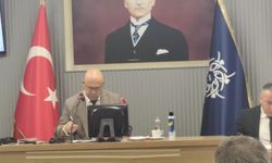Aydın meclisinde sinek kavgası
