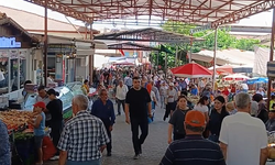 Karacasu Pazarında Ekonominin Nabzı: "Önemli Olan Fiyat Değil, Alım Gücü!"