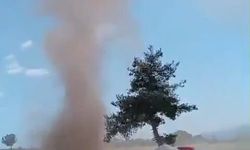 Karacasu'da Tütün Tarlasında Korkutan Hortum: "Neye Uğradığımızı Şaşırdık!"