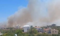 Didim'de makilik alanda yangın korkuttu