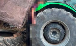Orman işçisi feci şekilde hayatını kaybetti