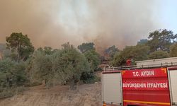 Aydın'da itfaiye alevlerin arasında kalan kaplumbağayı böyle kurtardı