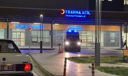 Ormanlık alanda silahlı yaralama: 1 kişi yakayı ele verdi