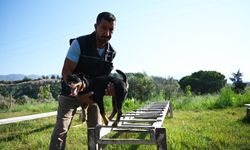 Aydın’da hayat kurtaran köpekler yetiştiriyor: Enkaz altında nefesin izini sürüyorlar