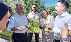 Çinli fenomen çift Aydın incirine hayran kaldı