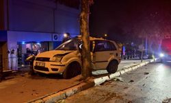 Kontrolden çıkan araç ağaca çarptı