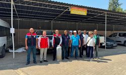 Aydın’da 535 bin sazan suyla buluştu